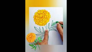 গাঁদা ফুল আঁকা How to Draw a Marigold Flower with Leaves | Easy Step-by-Step Drawing Tutorial
