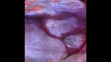 DC The Don - Paint Dry (Snippet)