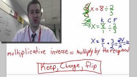 multiplicative inverse