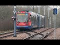 Couple of Sheffield Trams at Cathedral & Beighton 10/02/26