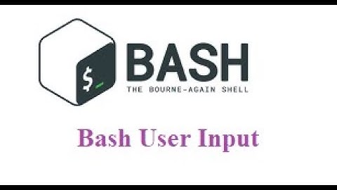 bash user input