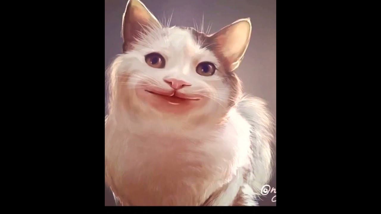 beluga cat face reveal 