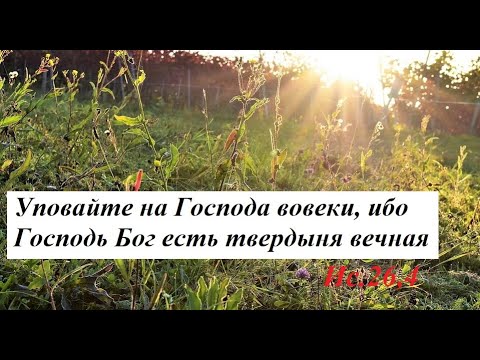 Горькие травы жизни и упование на Бога - YouTube