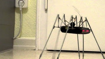 Insect Bot 2