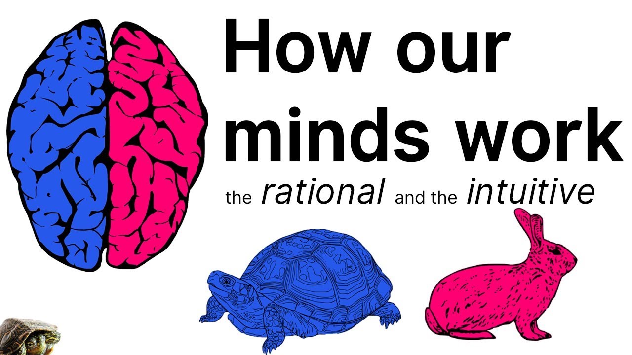 Brain 2 прохождение. Система 1 и система 2 Канеман. Two Systems of Brain Daniel Kahneman. Think about System. Think 2 Edition.