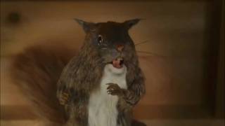 Crazy fucking squirrel (FULL HD,HQ,HDMI,full contact).wmv