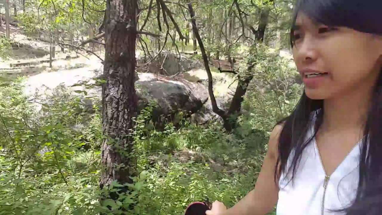 MT.LEMMON SUMMERHAVEN/picnic area YouTube
