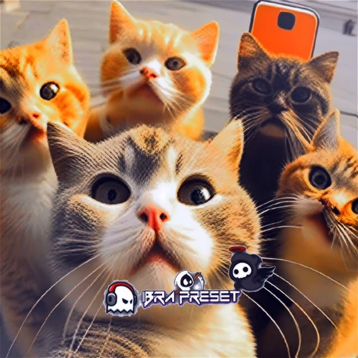 PRESET AM TERBARU 😎 | SEMUA UKURAN 😈 | DJ BEGGIN x SUWUNG   😾🤟😎🎶