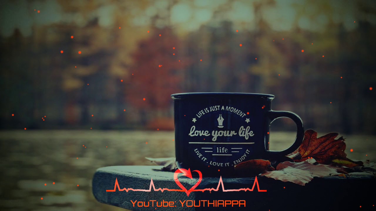 Mann bharya song WhatsApp statusB PraakJaaniHimanshi khurana