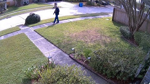 Reolink Captures: Auto-tracking Feature Test