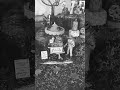 Lemax Spooky Town Evil Ed's Pumpkin Patch #halloween #spookytown #evil #ed's #pumpkinpatch
