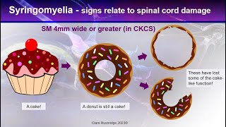 Clinical Signs of Canine Chiari and Syringomyelia  from the expert