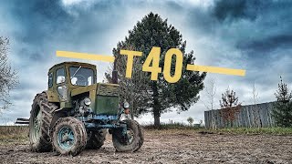 :    40   
