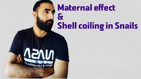 Maternal effect |  Shell coiling in Snails | #Bsc |#Csir net life science