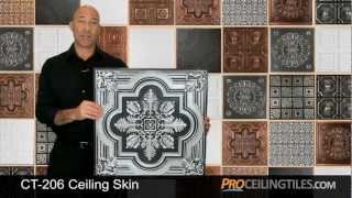 CT-206 Skin - Ceiling Tile