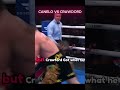 Canelo vs Crawford Was INSANE #boxing #kickboxing #sports #mma #boxeo #fighter #box #boxingday #ufc
