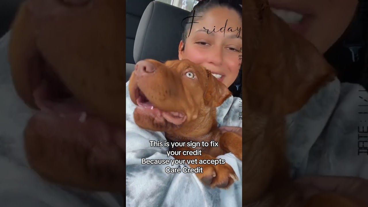 Если вы — мама домашнего животного, послушайте… ваш ветеринар может принять CareCredit 😭🐾