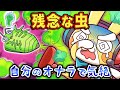 ちょっと残念な虫4選【アニメ】【マンガ】