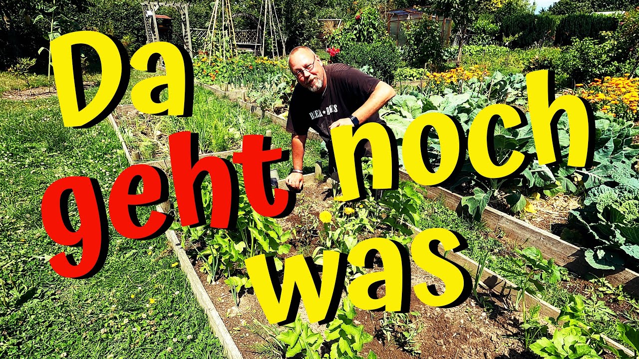 Aussaat und Anzucht im Juli, was wir jetzt noch pflanzen, aussäen und