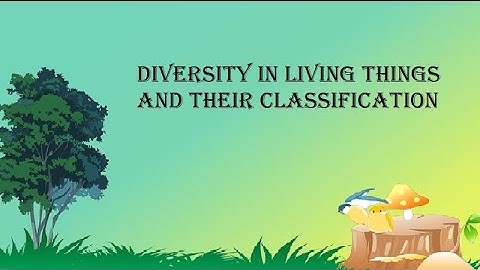 CLASS 6 | DIVERSITY IN LIVING THINGS AND THEIR CLASSIFICATION | LESSON 3 | EVS | EXPLAINER VIDEO