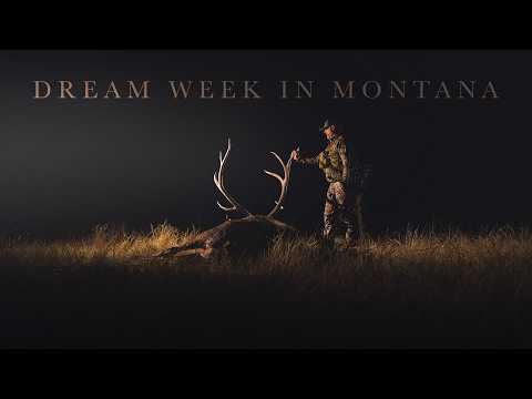Our Best Week of Elk Hunting in Montana