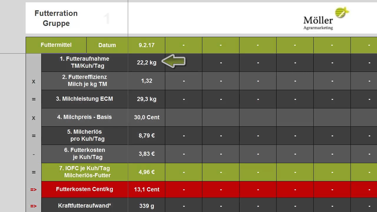 Milcherzeugung - 100 Kühe in Rheinland-Pfalz - DSDF #3 - Deutschland senkt die Futterkosten für Kühe