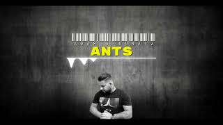 Adam S Donatz - ANTS