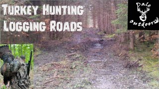 Turkey Hunting and Setting up for an Ambush on Logging Roads