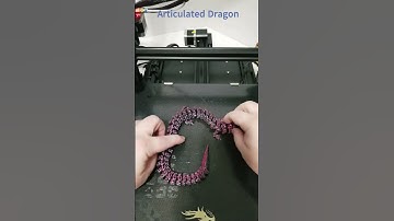 Articulated dragon 3D printed time lapse