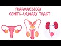 Basic Pharmacology of Genitourinary System | Pharmacy l Medical Lecture