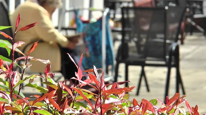 Dealing With Dementia - Dr Sarah Schofield