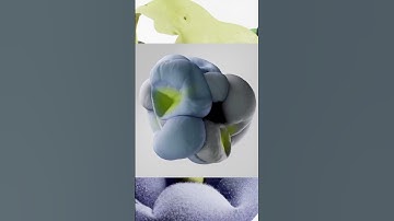 Motion inspiration - Pink