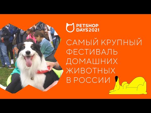 Фестиваль любителей домашних животных PETSHOP DAYS 2021 / Что нас ждет?