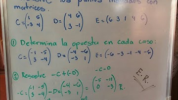 Opuesta de una matriz. Matriz opuesta..