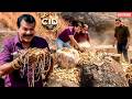 CID Team को राजस्थान की पहाड़ी पर मिला छुपा हुआ करोड़ों का सोना ! || CID || Latest Episode ||
