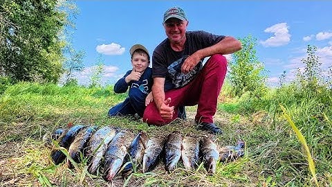 НЕВЕРОЯТНО! Внук ОБЛОВИЛ деда на рыбалке в глуши 😱🎣