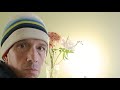 Fundamentals = Parentheses: Daily Space &amp; Earth Weather