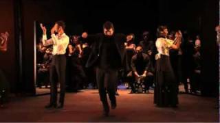 Flamenco Hoy de Carlos Saura - short promo clip