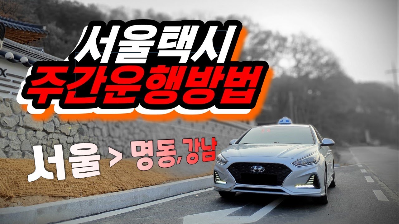 서울 타고싶은택시 하루운행 영업노하우 주간영업