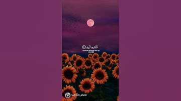 أجمل تلاوات #خالد_الجليل من  [سورة طه ] #quran #قران_كريم #ستوريات #حالات_واتس