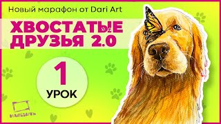 Марафон "Хвостатые друзья 2.0" - 1 урок