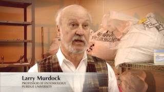 Purdue University: Purdue Improved Crop Storage (PICS) screenshot 5