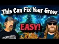 Ipm magic elevate your cannabis grow room game with these tricks