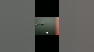 All Super Cat Tales moves IRL | #Shorts #supercattales #Neutronized #cats #edit #memes #fyp #funny