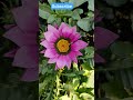 jab bhi kabhi Lage Ham abhav mein de rahe#motivation#gaming #viral #flowers #video
