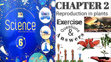 Class 6 Science Chapter 2 Reproduction in plants || Exercise questions answers 2023