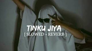 Tinku jiya | Yamla pagla Deewana | lyrics video | no copyright music | slowed and Reverb |