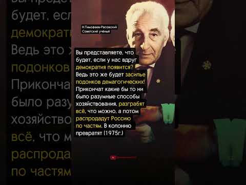ВСЁ РАЗГРАБИЛИ и ПРОДАЛИ