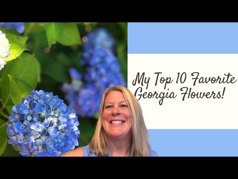 Video: Jaký je květ Gruzie?