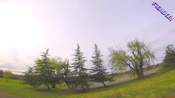 Tree Gap Power Loop...